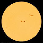 SDO/HMI Continuum Image of the Sun