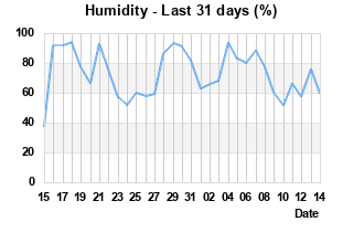 Humidity last 31 days